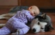 A kutyus oltalma alatt békés pihenés